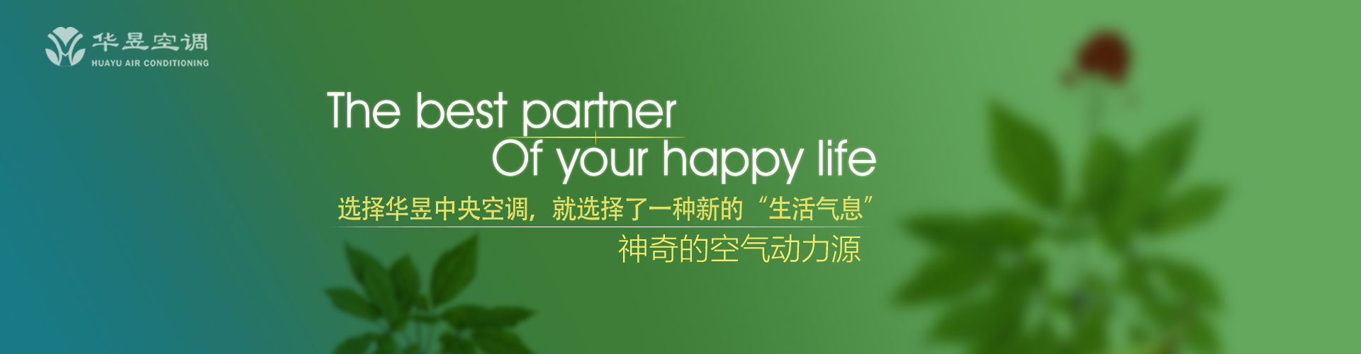 拾人牙慧网
